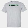 Ultra Cotton ® 100% US Cotton T Shirt Thumbnail